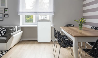 friedrich zoneaire self evaporating portable air conditioner with heat